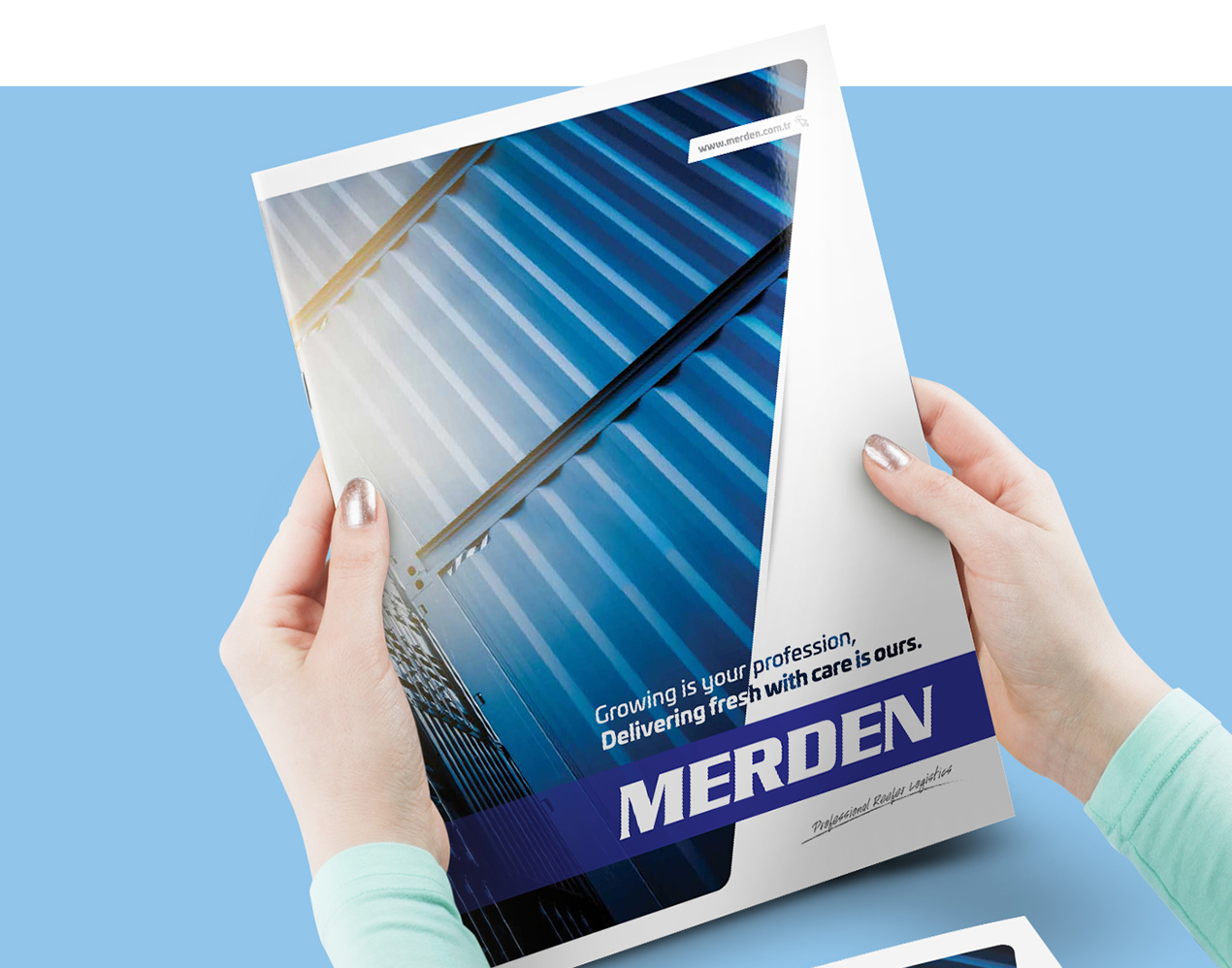 Merden Mersin Katalog